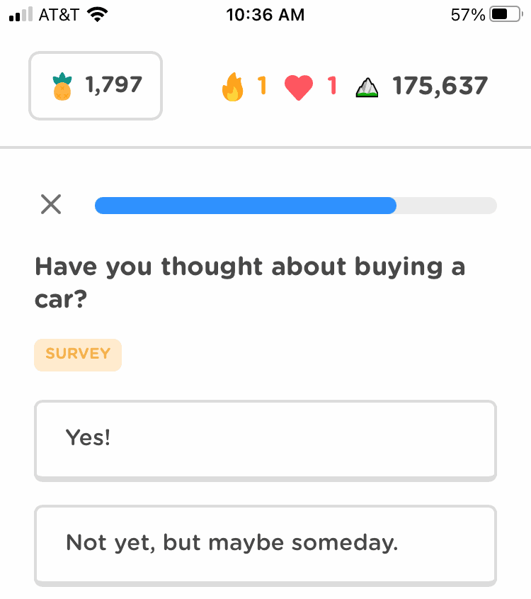 Zogo Have You Considered Buying a Car