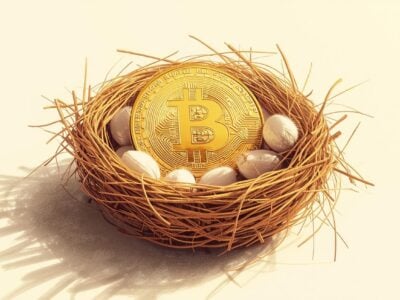 A golden Bitcoin coin resting inside a traditional bird’s nest egg, symbolizing retirement savings. Photorealistic, clean background, warm natural light, minimalist composition.